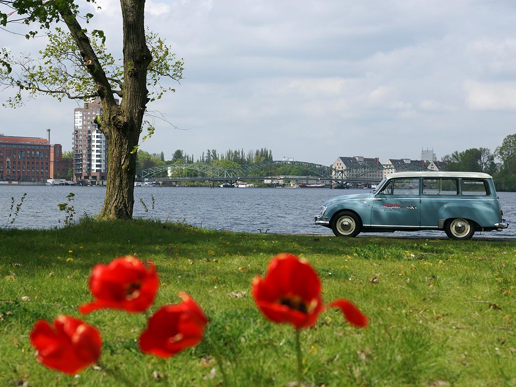 Außenbereich Inselfläche